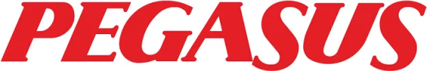 بيغاسوس